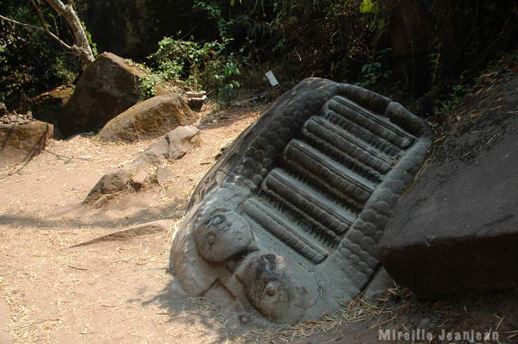 serpent