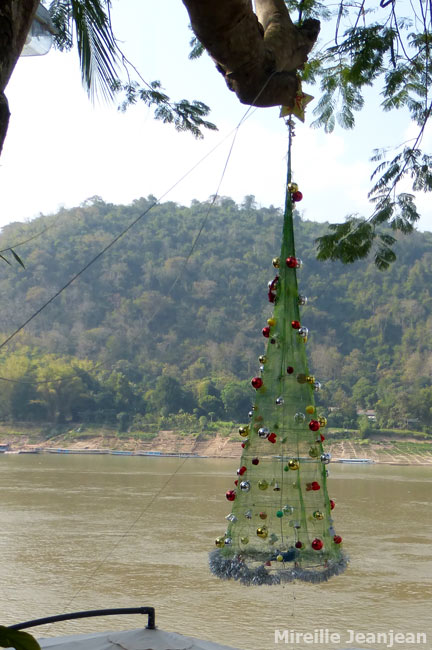 sapin