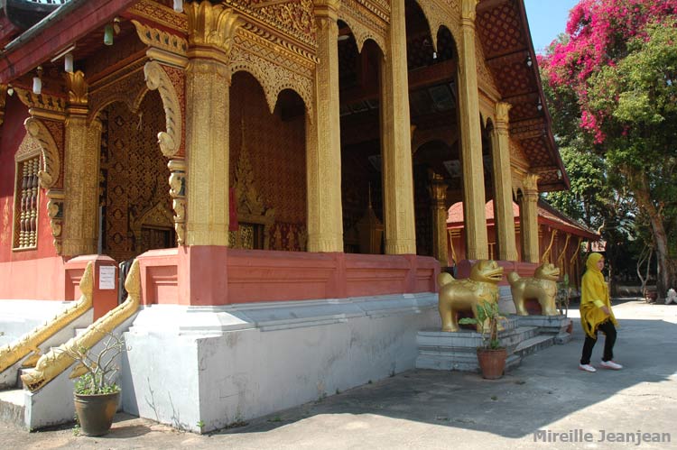 vat-sen