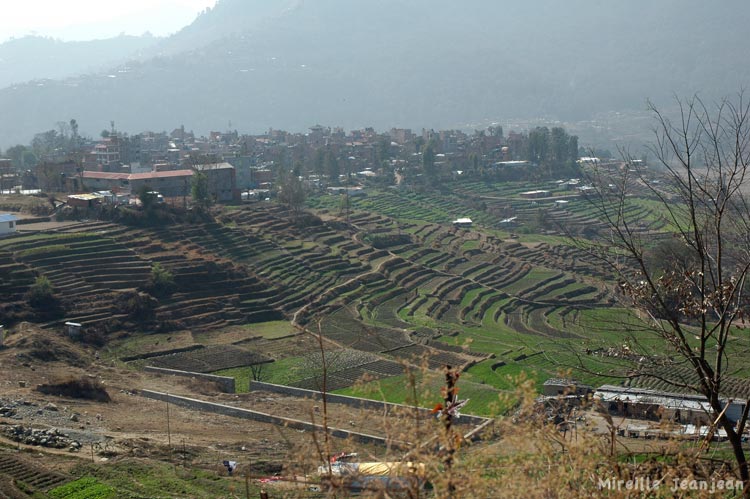bungam1