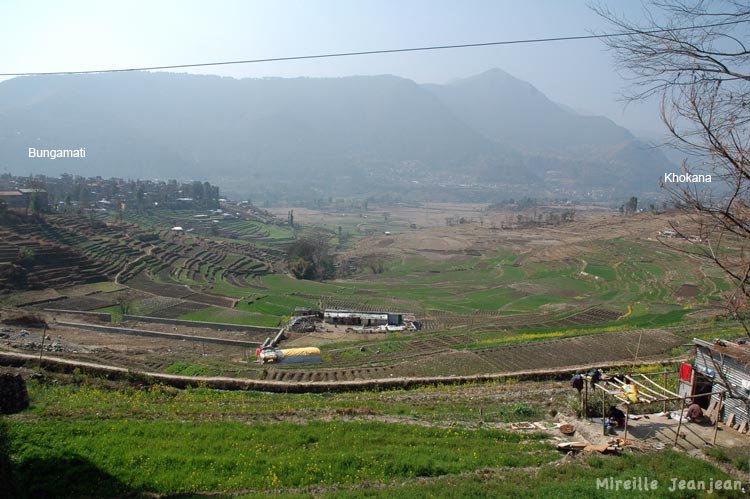 bungkhok