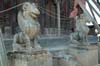 porte-griffons1