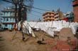 linge