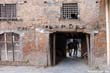 porte-carree