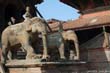 shiva-tpl1c