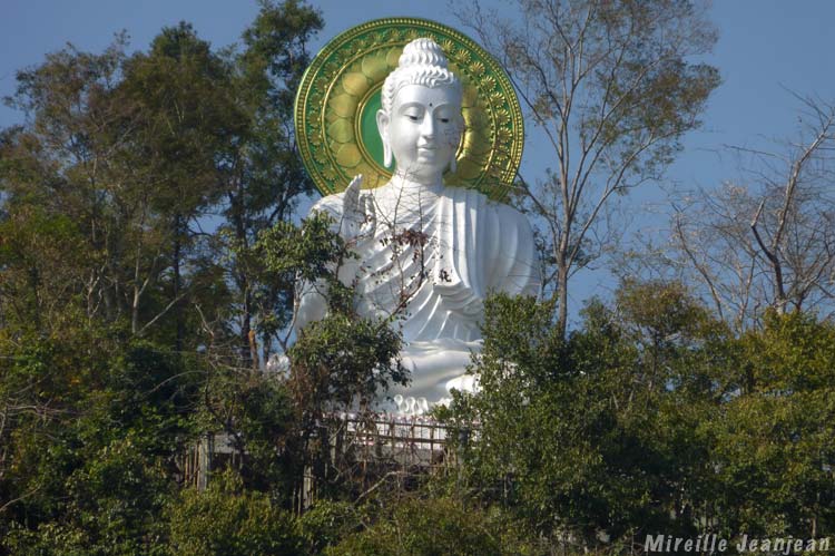 buddhablc