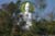 buddhablc