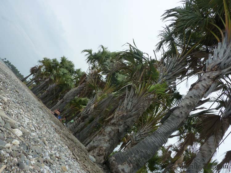 plage2