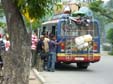 bus