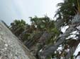 plage2