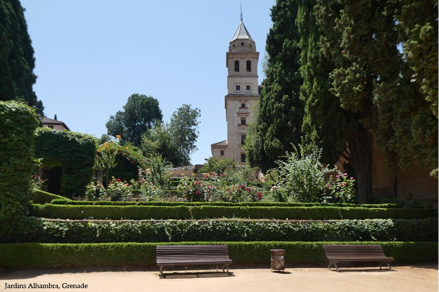 jardin-patio