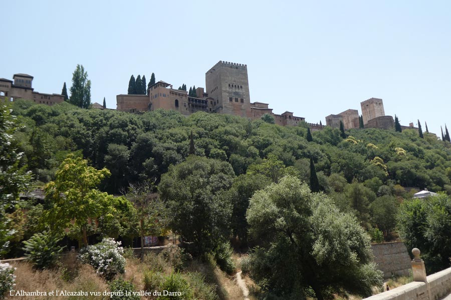panorama1