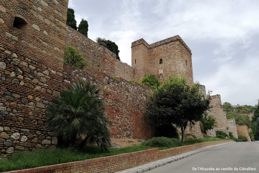 casti1