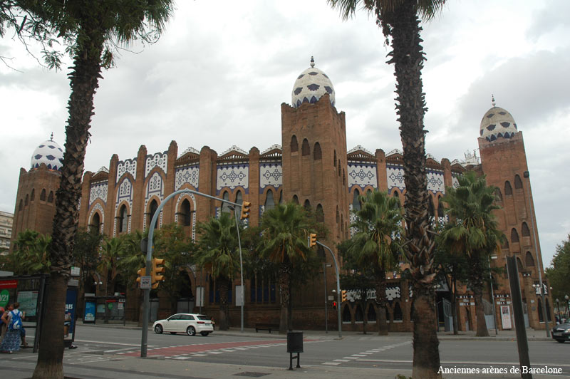 bcn6