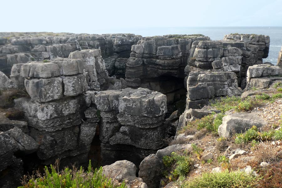 carvoeiro2d