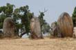 cromlech3