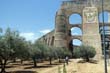 elvas3