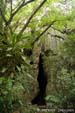 grotte