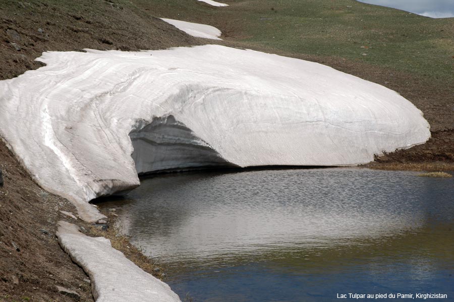 lac-tulpar5