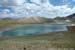 lac-tulpar1