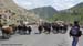 transhumance-alai