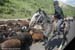 transhumance-alai3
