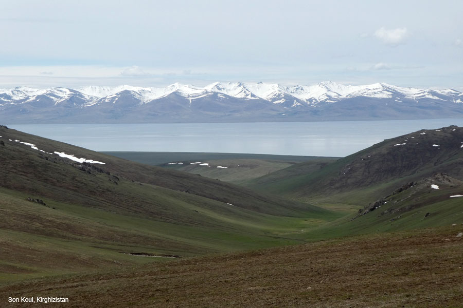 son-kul8