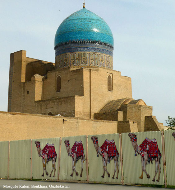 mosquee-kalon