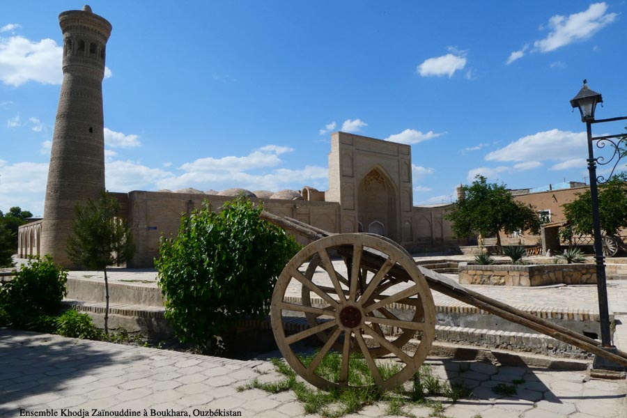 zainouddine1