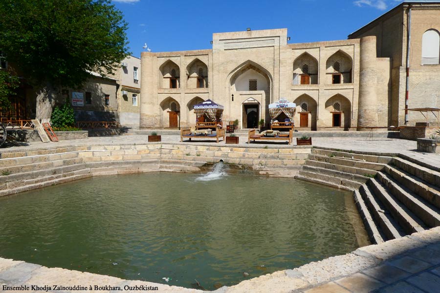 zainouddine2