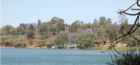 lac Hora