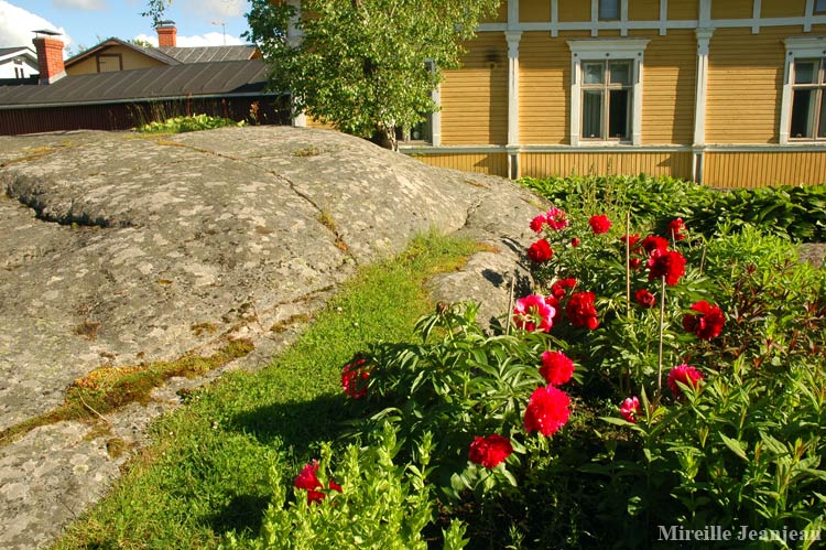 rauma7b
