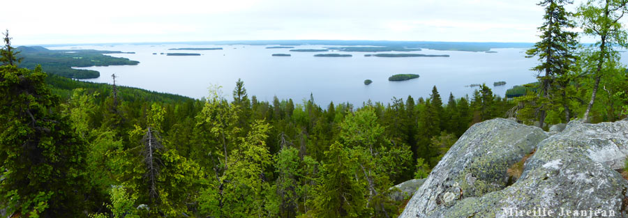 koli1