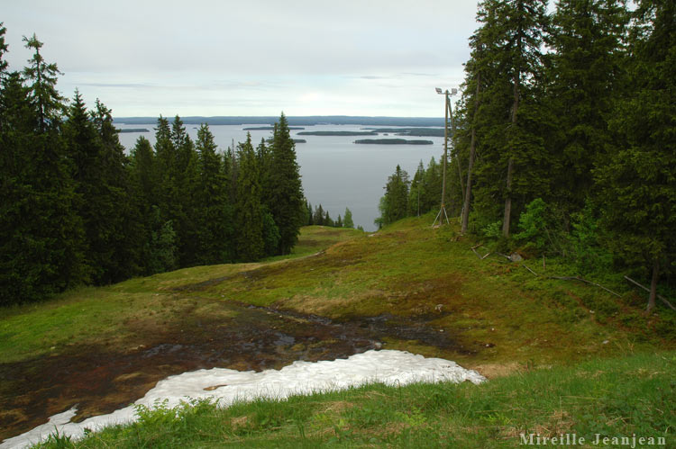 koli3