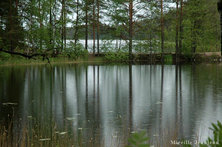 reflet1