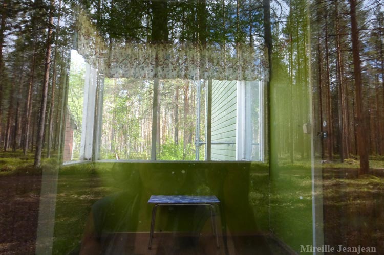in-foret2