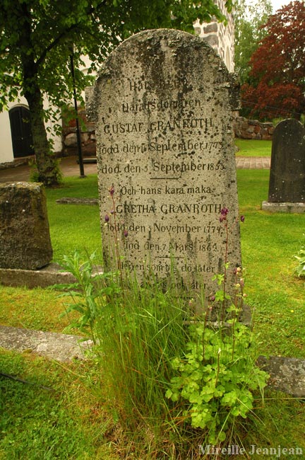 stele2