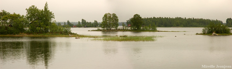 vaasa1