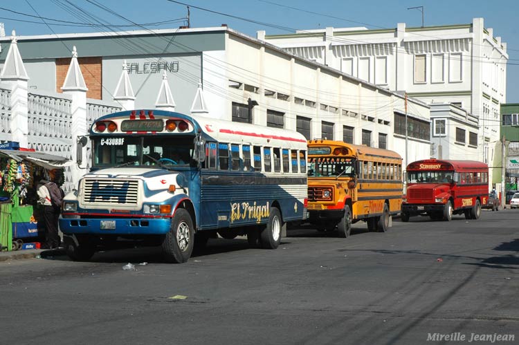 chikenbus