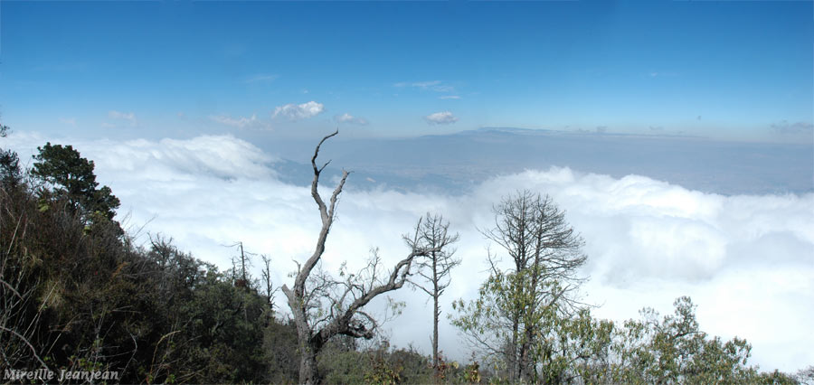 santamaria3