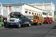 chikenbus