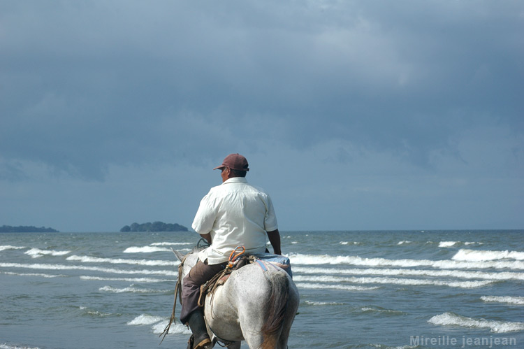 cheval2