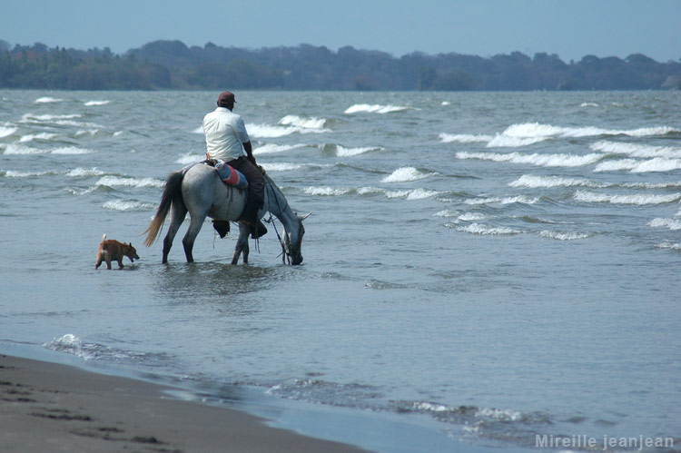 cheval3