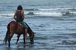 cheval1