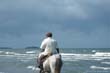 cheval2